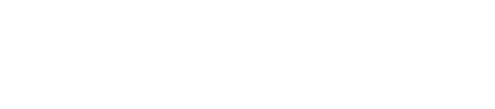 iexpress logo white
